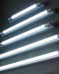 Fluorescent straight tubes