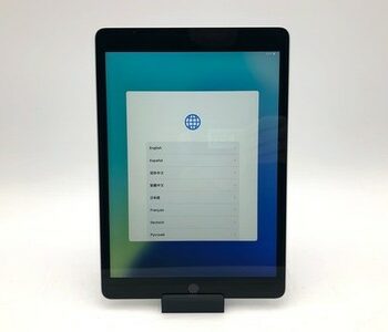 Apple iPad 10.2" (9th Gen) 256GB Silver Wifi Only MK2P3LL/A iPadOS Tablet Tested