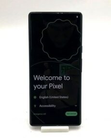 Samsung Pixel 6 Pro Dual 256GB Stormy Black Unlocked G8V0U Android Smartphone