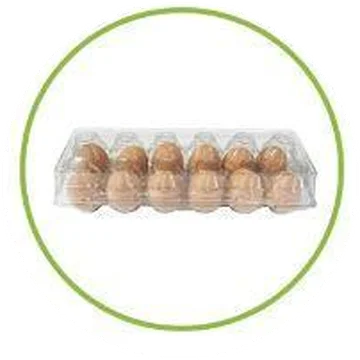 EPS and Plastic Recycling 7 Clear number 1 PET plastic egg carton accepted for rigid plastic recycling