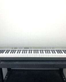 Technics | SX-P50 | 88 keys