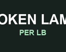 BROKEN LAMPS