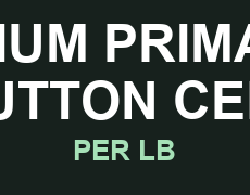 LITHIUM PRIMARY / BUTTON CELL