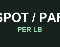 SPOT / PAR