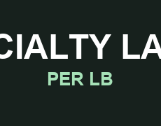 SPECIALTY LAMPS