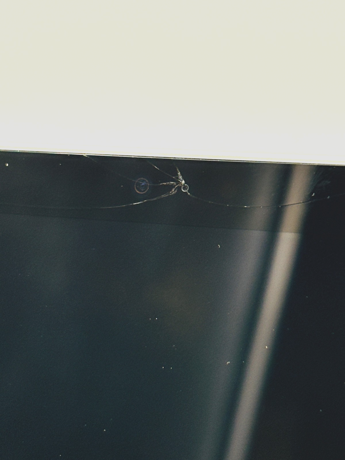 Apple iPad 10.9" 10th Gen - Wi-Fi Only , 64GB Silver - Display DMG 5 Apple iPad 10.9" 10th Gen - Wi-Fi Only , 64GB Silver - Display DMG